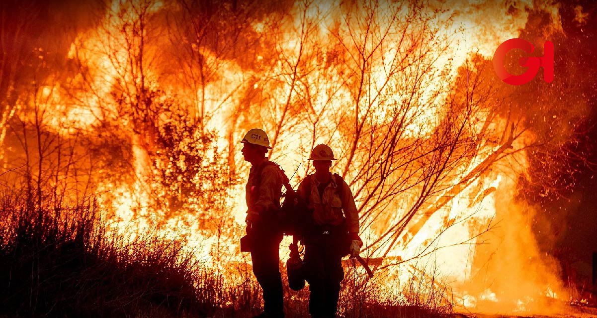 Más de 100 incendios forestales afectan a Hidalgo en la temporada de calor