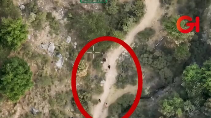 Hidalgo: destruyen narcolaboratorio oculto en cerro de Acaxochitlán