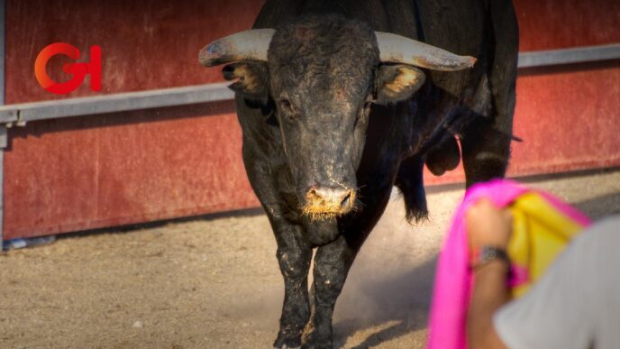 Prohibición taurina en Hidalgo se encuentra en pausa: Solo se ha avanzado un 30% en su análisis