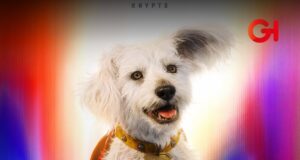 ¡Krypto un héroe! Aparición en Superman pone de moda adoptar lomitos en EE.UU.