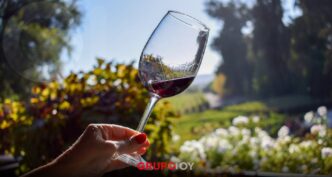Viñedos en Hidalgo: La nueva ruta del vino en México que debes conocer