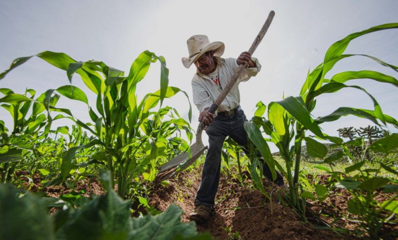Inversión histórica en infraestructura hídrica fortalece el campo de Hidalgo