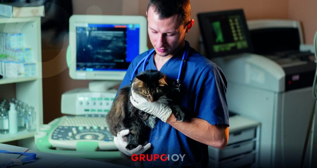 atención veterinaria Hidalgo