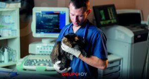 atención veterinaria Hidalgo
