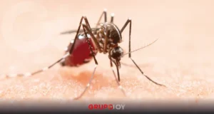 Dengue en Hidalgo