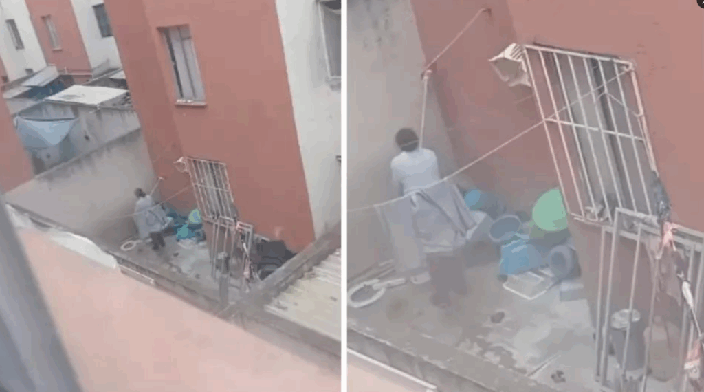 maltrato animal en Pachuca