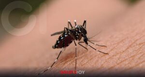 Brote de chikungunya en China rebasa los 7 mil casos y prende focos rojos en salud