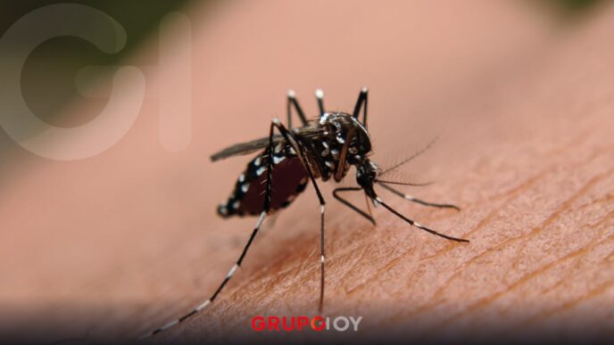 Brote de chikungunya en China rebasa los 7 mil casos y prende focos rojos en salud