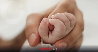 Adopciones en Hidalgo