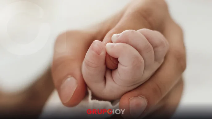 Adopciones en Hidalgo