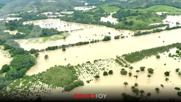 Álamo Veracruz afectaciones