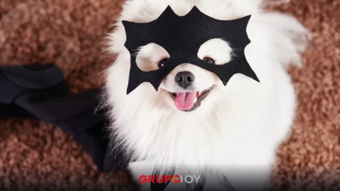 Convocan a concurso de disfraces para mascotas en Pachuca