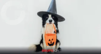 Halloween Run 2025 en Pachuca. La carrera para ayudar a un refugio de animales