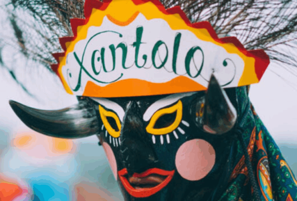 Municipios para celebrar Xantolo