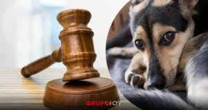 Mujer es vinculada a proceso por agredir a perro con machete en Pachuca