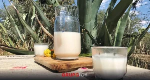 ¡Ya viene la Expo Pulque 2026 en Tepeapulco, Hidalgo!