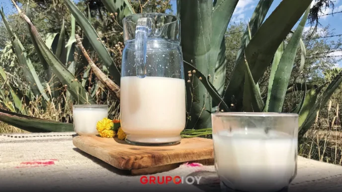 ¡Ya viene la Expo Pulque 2026 en Tepeapulco, Hidalgo!
