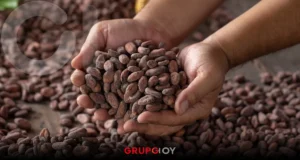 Vive el Festival del Cacao y el Pan de Nopala