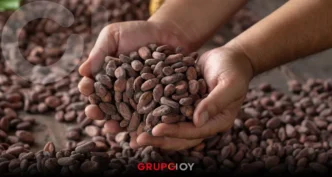 Vive el Festival del Cacao y el Pan de Nopala