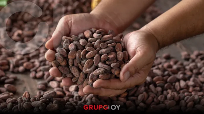 Vive el Festival del Cacao y el Pan de Nopala