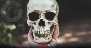 Descubren un cráneo humano en Pachuca durante instalación de videovigilancia