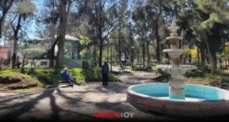 Plagas y riesgo de caídas: continúa el retito de árboles en el Parque Pasteur de Pachuca