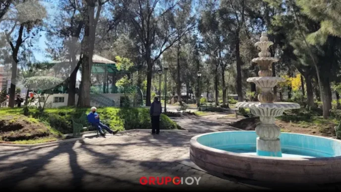 Plagas y riesgo de caídas: continúa el retito de árboles en el Parque Pasteur de Pachuca