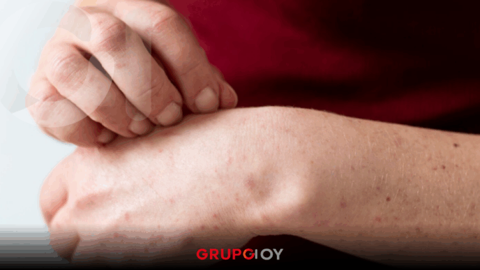 recuperar cartilla de vacunación