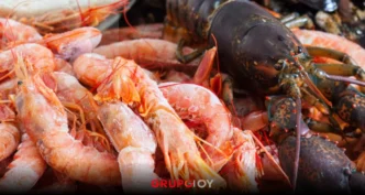 Profeco vigilará en Hidalgo el precio de los mariscos en Cuaresma