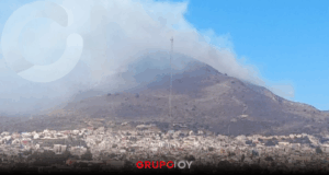 Incendio El Arbolito