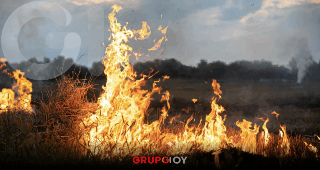 Prevención de incendios en Hidalgo 2026