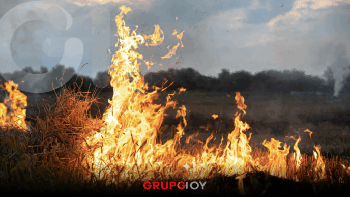 Prevención de incendios en Hidalgo 2026