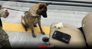 Detienen en el AICM a hombre con casi 9 kilos de cocaína ocultos en una silla de ruedas