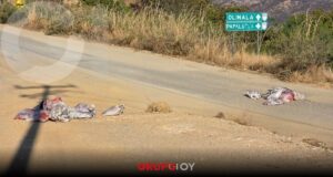 Violencia en Guerrero: localizan 10 cuerpos en Chilapa y Olinalá atribuidas al grupo criminal de Los Ardillos