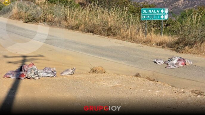 Violencia en Guerrero: localizan 10 cuerpos en Chilapa y Olinalá atribuidas al grupo criminal de Los Ardillos