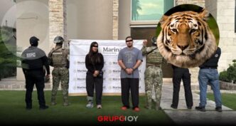 Aseguran siete tigres, armas y droga en cateos ligados al Cártel del Noreste en Nuevo León