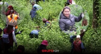 Reforestan Parque Nacional El Chico con 3 mil 500 árboles