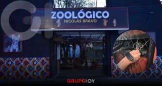 Zoológico Nicolás Bravo de Tulancingo estrena monos araña y nuevas áreas para visitar en vacaciones