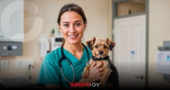 Ofrecerán consultas veterinarias por 30 pesos para perros y gatos en Tulancingo