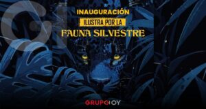 Ilustra x la Fauna Silvestre: exposición en Pachuca recauda fondos para animales en recuperación