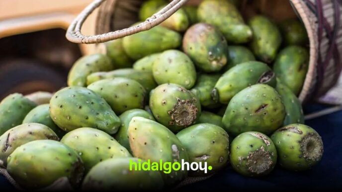 Hidalgo destaca entre los principales productores de tuna en México