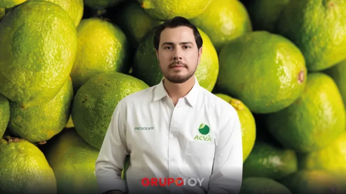 Bernardo Bravo