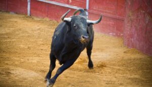 Aplazan corrida de toros en homenaje a Mauricio Fernández en San Pedro Garza García