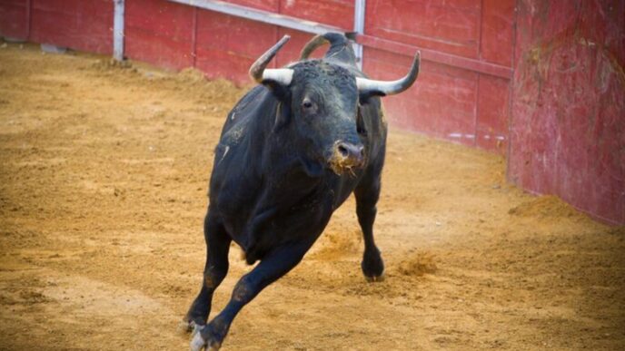 Aplazan corrida de toros en homenaje a Mauricio Fernández en San Pedro Garza García
