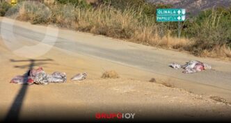 Violencia en Guerrero: localizan 10 cuerpos en Chilapa y Olinalá atribuidas al grupo criminal de Los Ardillos