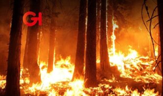 Puebla incendios