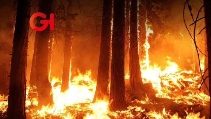 Puebla incendios
