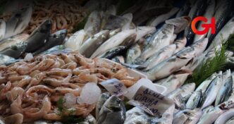 mariscos