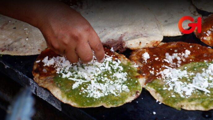 gordita