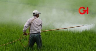 Puebla entre los 10 estados que reactivarán el campo mexicano